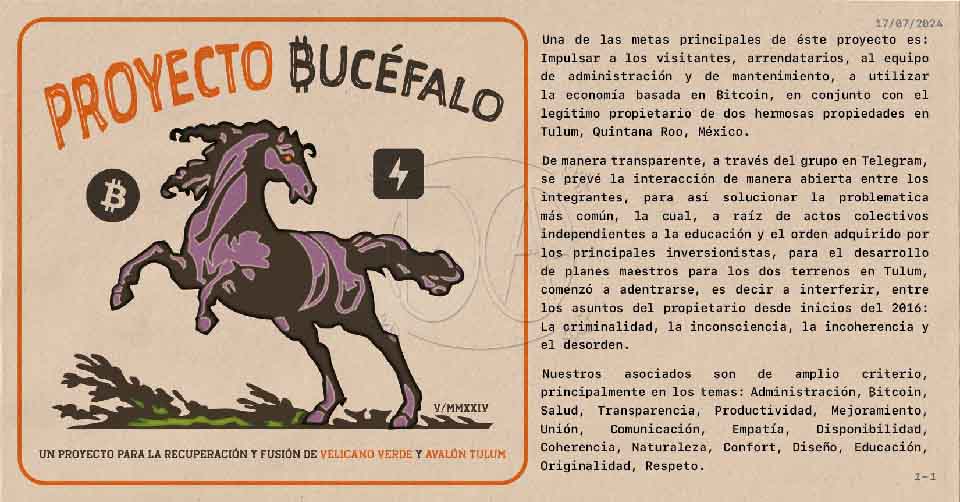 Proyecto Bucéfalo