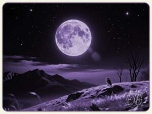 Beyond the Visible Borders